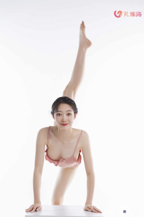 舞蹈生日记 - 全套123期合集[28.9G]-孔雀海|珍藏合集